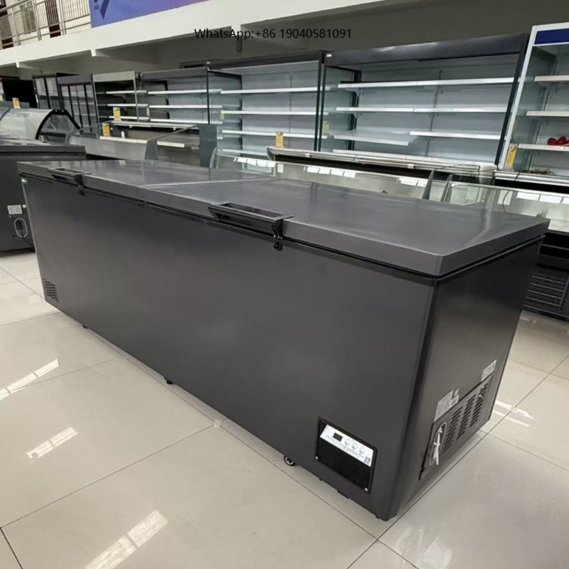 Commercial Chest Freezer - Kommerzieller Doppeltür-Gefrierschrank mit Horizontaler Tiefkühlung, Große