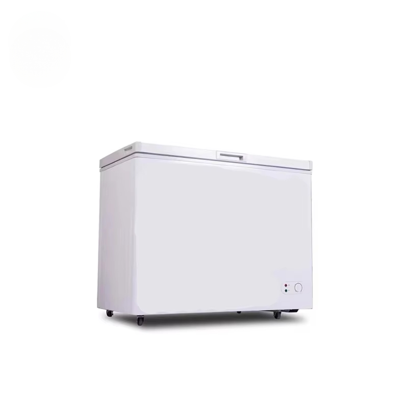 Commercial Chest Freezer - 100 ~ 300 Liter kommerzieller horizontaler