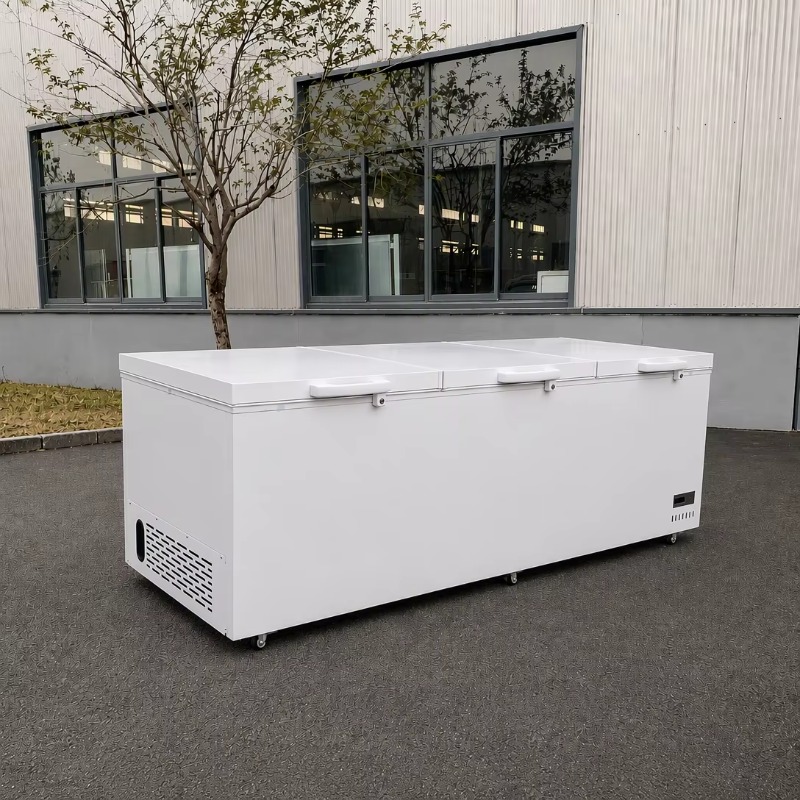 Edelstahl-Material Supermarkt  – Commercial Chest Freezer Bewertung und Preis