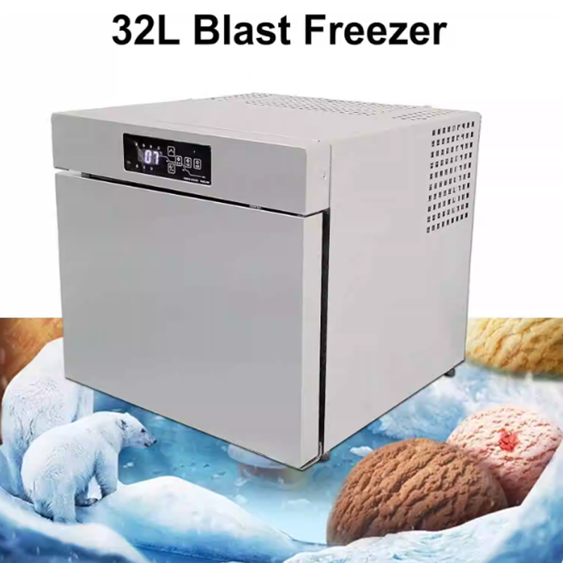 Schnellgefrierschrank für Meer – Commercial Chest Freezer Bewertung und Preis