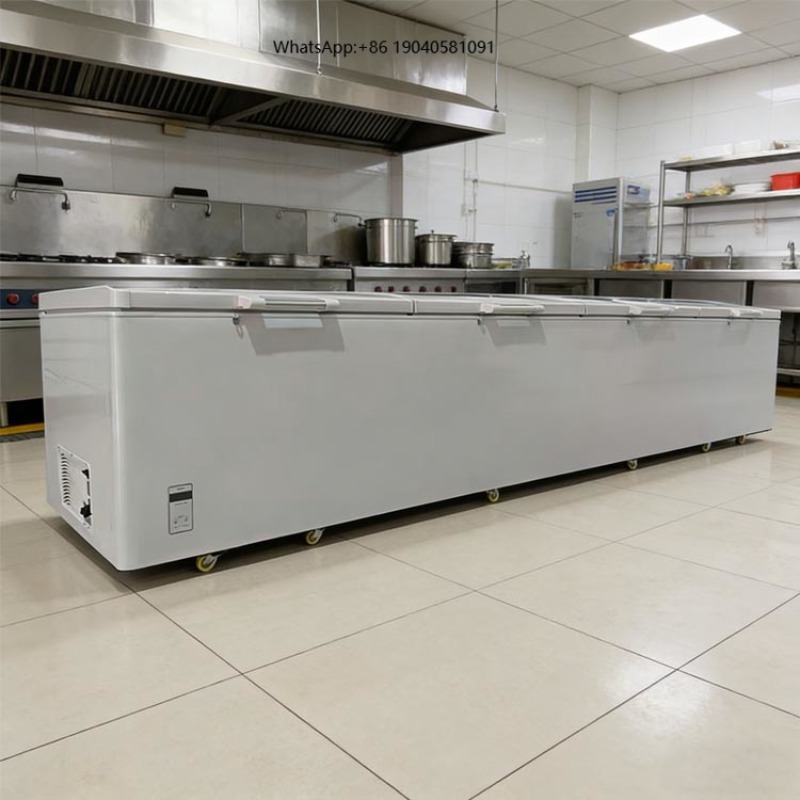 2688 Großer Kommerzieller Hori – Commercial Chest Freezer Bewertung und Preis