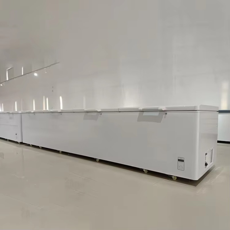 2688 Großer Kommerzieller Hori – Commercial Chest Freezer Bewertung und Preis