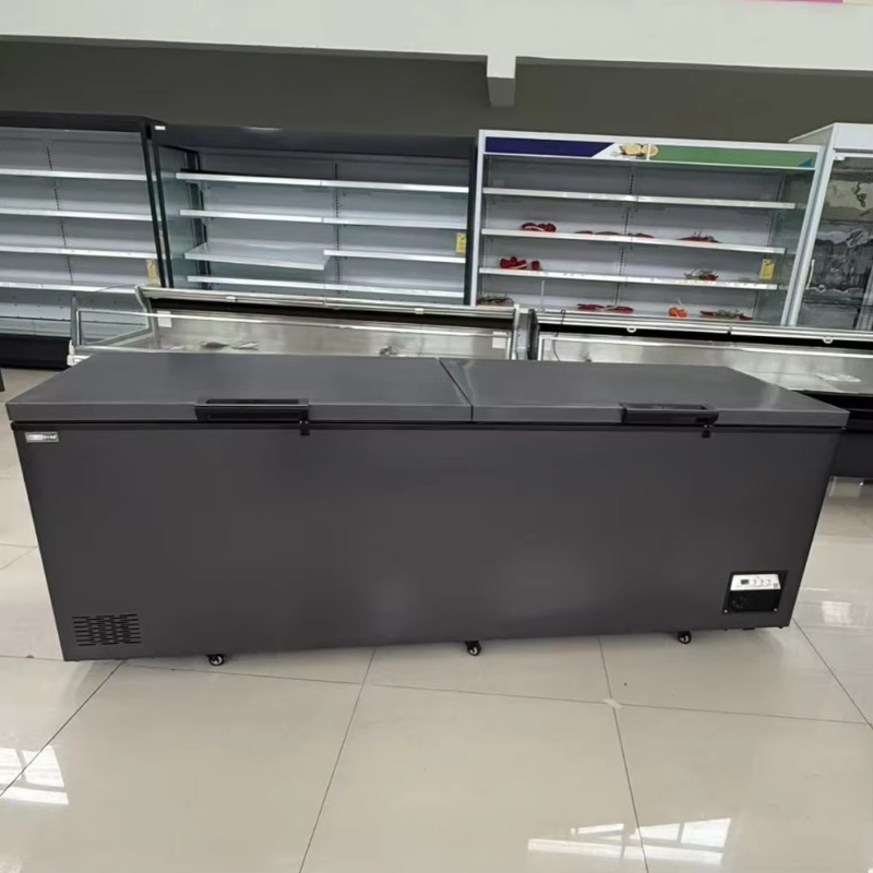Kommerzieller Doppeltür-Gefrie – Commercial Chest Freezer Bewertung und Preis