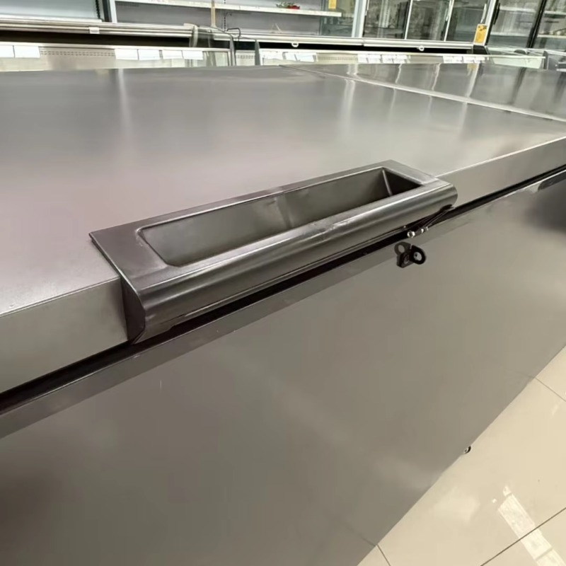 Kommerzieller Doppeltür-Gefrie – Commercial Chest Freezer Bewertung und Preis