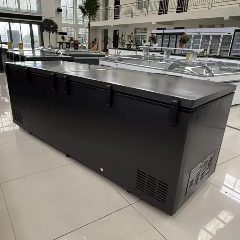 Kommerzieller Doppeltür-Gefrie – Commercial Chest Freezer Bewertung und Preis