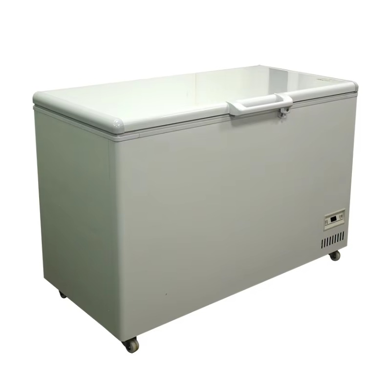 Kommerzieller Horizontal-Gefri – Commercial Chest Freezer Bewertung und Preis